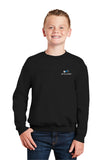 Sweatshirt: Gildan Youth Crewneck