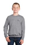 Sweatshirt: Gildan Youth Crewneck