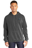 Sweatshirt: Comfort Colors Hooded