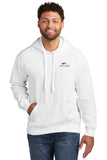 Sweatshirt: Comfort Colors Hooded